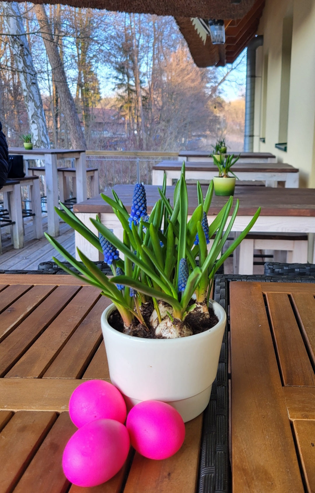 Ostern im Fischhaus